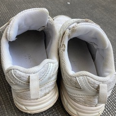 19cm 瞬足　しゅんそく　ハートの画像
