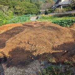 ぶなしめじ廃菌床