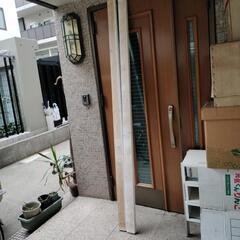 新品未使用  高さ230 2セット の画像