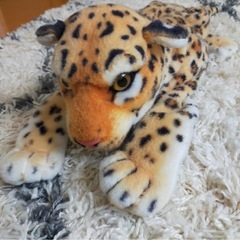 愛着湧くヒョウ🐆のティッシュケース
