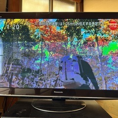 受付終了　パナソニック　薄型テレビ　46インチ　TH-P46VT2の画像