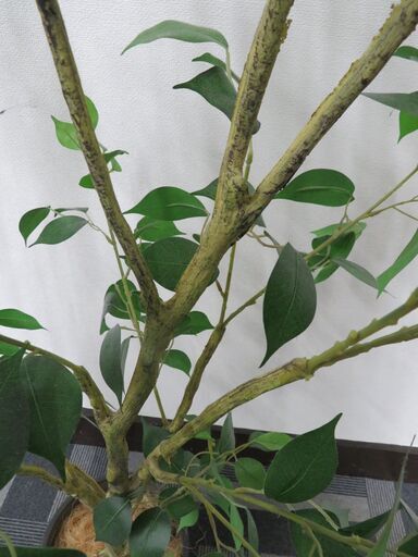 フェイクグリーン　人工観葉植物　造花　鉢付　高さ160cm　人工観葉樹　観葉植物