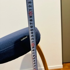 【最終値下げ】サカモト　バランスチェアイージーの画像