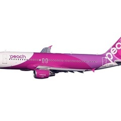 ピーチ航空　10月19日福岡→那覇