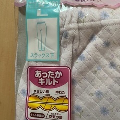 婦人下着Lサイズの画像