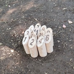モルック×ピクニック会 in 猿江恩賜公園