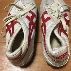asics tigerバレーボールシューズ