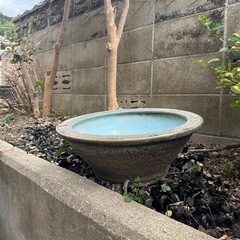 水瓶、メダカ鉢