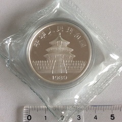中国　初年号1オンスパンダ銀貨　純銀製　本物保証の画像