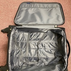 キャリーバッグ（未使用、コンパクト）の画像