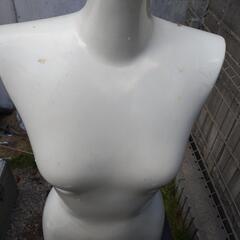 2体マネキン