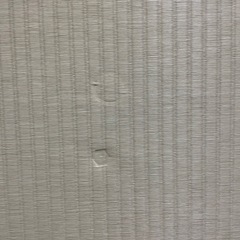 畳
の画像