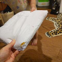 イングリッシーナ 深緑の画像