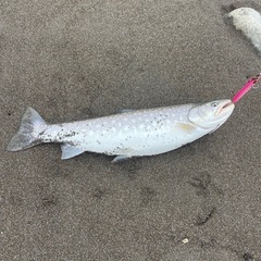 釣り好き　交流会