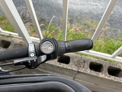 子供乗せ　自転車　3人のり