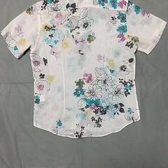 半袖シャツ⑥の画像