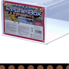 レプタイルボックスの中古が安い！激安で譲ります・無料で