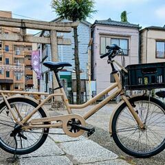 ブリジストン　トートボックス　ラージの画像