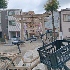 ブリジストン　トートボックス　ラージの画像