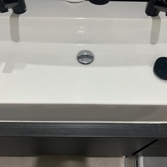 サンワカンパニー 2個口タイプ洗面台