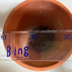植木鉢　素焼き　2個セットの画像