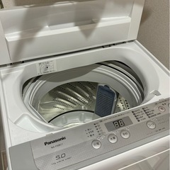 【今週中】洗濯機お譲りします！