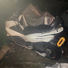 pcx jf56の画像