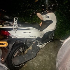 pcx jf56の画像