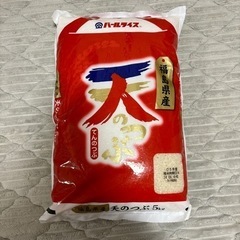 お米　5キロ