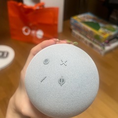 アレクサの画像