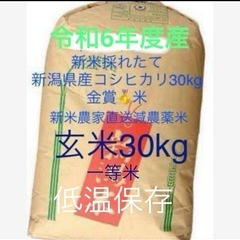 新潟県産米 一等 金賞 低温 魚沼産より美味 令和6年度農家直送 新米 玄米 こしひかり 30kg キロ 減農薬 健康 新潟市西蒲区 2024 