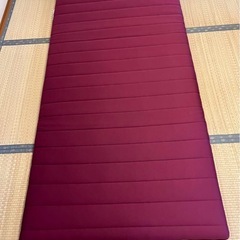 10月末迄★ほぼ新品★エアウィーヴ 和匠 シングル 四季布団★’24年8月末購入の画像