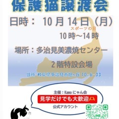 ミニ保護猫譲渡会inたじみ陶器まつり