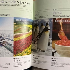 北海道ハレ旅 テーマ別のしたい事で旅をサポートの画像