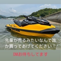 seadoo   rxp300 トレーラーセット
の画像