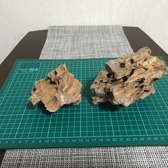 気孔石 2個セットシュリンプの隠れ家やレイアウトなどに