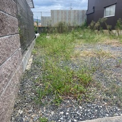 草刈り