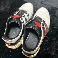 ゴルフシューズ25.5 adidas