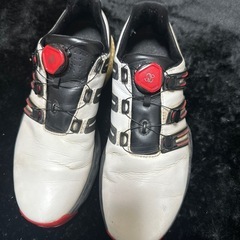ゴルフシューズ25.5 adidasの画像