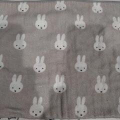 ミッフィー miffy 吸水マット 吸水クロス 布巾 タオル 3枚セットの画像