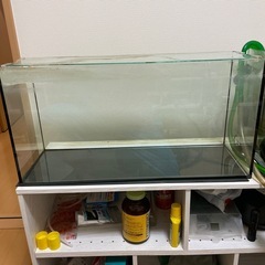 テトラ　60センチ　スリム水槽