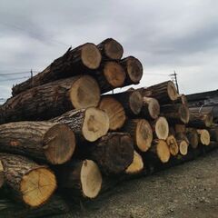 🔥薪屋　ナチュラルウッドの薪の画像