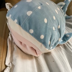 可愛いがってあげてください