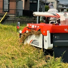 静岡産の美味しいお米 令和6年 新米 静岡産 30キロ 玄米