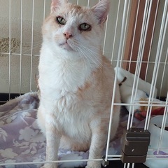 大きな、穏やか男の子　ジョーくん