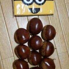 秋の味覚 生栗 セットの場合値下げの画像