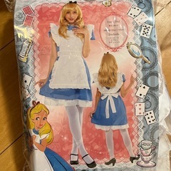 ディズニーコスプレ衣装  
