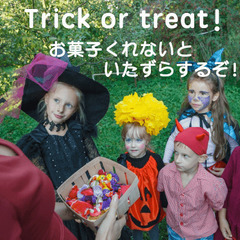 お菓子ラリー：せりハロ'24🎃