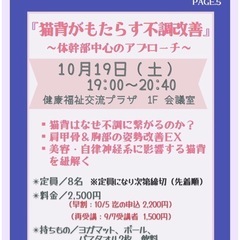 ✨猫背改善でメリット3倍✨