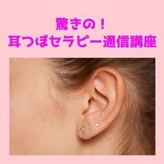 耳つぼジュエリー初級講座★27症例耳つぼマップ付き